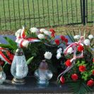 dsc_0175 dsc_0175