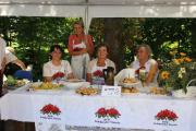 IMG_7953-Copy