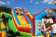 IMG_7967-Copy