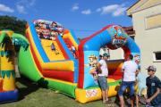 IMG_7969-Copy