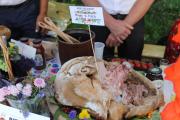 IMG_8002-Copy
