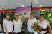 IMG_8006-Copy