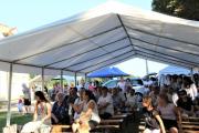 IMG_8093-Copy