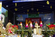 IMGP1427
