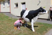 IMG_3183_800x533