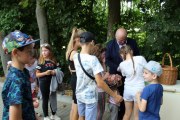 IMG_3236_800x533