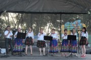 IMG_3319_800x533