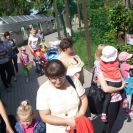img_1425 img_1425