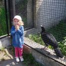 img_1434 img_1434