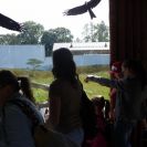 img_1443 img_1443