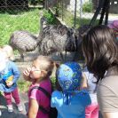 img_1447 img_1447