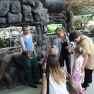 img_1464 img_1464