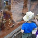 img_1466 img_1466