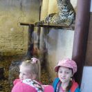 img_1472 img_1472