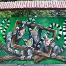 img_1482 img_1482
