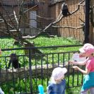 img_1489 img_1489