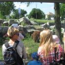 img_3860 img_3860