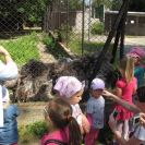 img_3883 img_3883