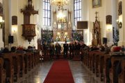 IMG_5737 IMG_5737