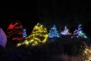IMG_0398_Easy-Resize.com_ IMG_0398_Easy-Resize.com_