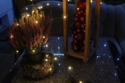IMG_0420_Easy-Resize.com_ IMG_0420_Easy-Resize.com_