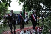 IMG_7086 IMG_7086