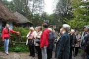 IMG_0011