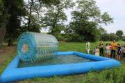 IMG_7696 IMG_7696