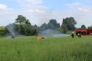 IMG_7721_