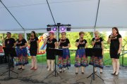 IMG_7828 IMG_7828