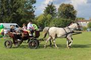 IMG_9256_Easy-Resize.com_ IMG_9256_Easy-Resize.com_