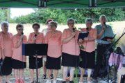 IMG_8137 IMG_8137