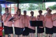 IMG_8138 IMG_8138