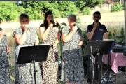 IMG_8231 IMG_8231
