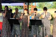 IMG_8233 IMG_8233