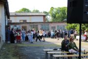 IMG_7138 IMG_7138
