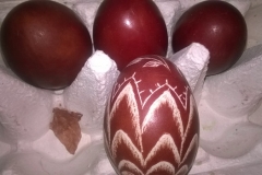 WP_20170407_18_54_25_Pro