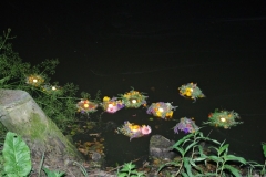 IMGP6719