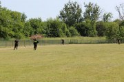 IMG_2531_800x533