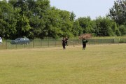 IMG_2532_800x533