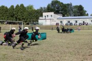 IMG_2550_800x533