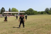 IMG_2551_800x533