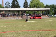IMG_2567_800x533