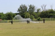 IMG_2569_800x533