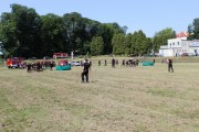 IMG_2584_800x533