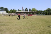 IMG_2587_800x533