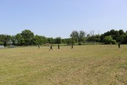 IMG_2590_800x533