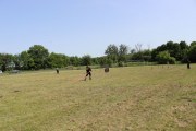 IMG_2592_800x533