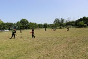 IMG_2594_800x533