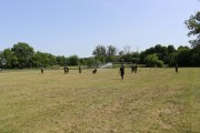 IMG_2596_800x533